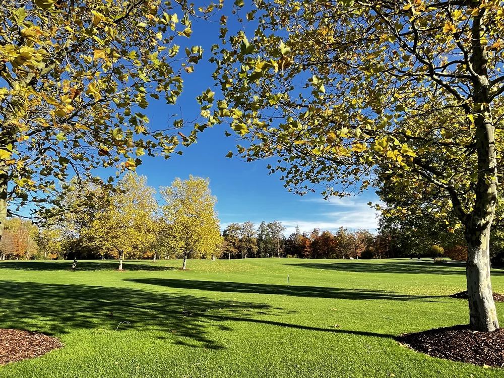 Fairway im Herbstlicht, Golfclub Marhördt